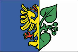 Karwina flag